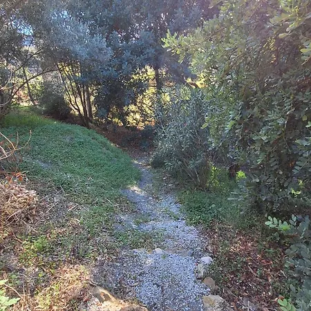 El Agua Da Vida Comares