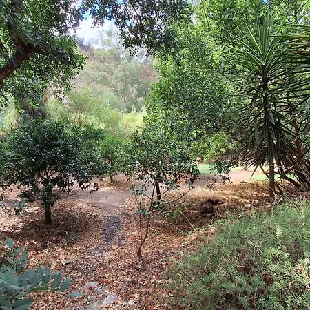 Holiday home El Agua Da Vida Comares