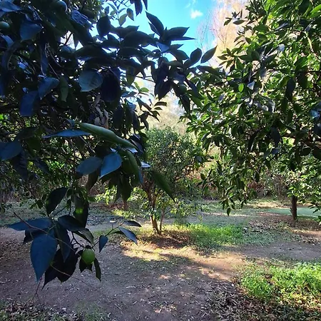 El Agua Da Vida Holiday home Comares