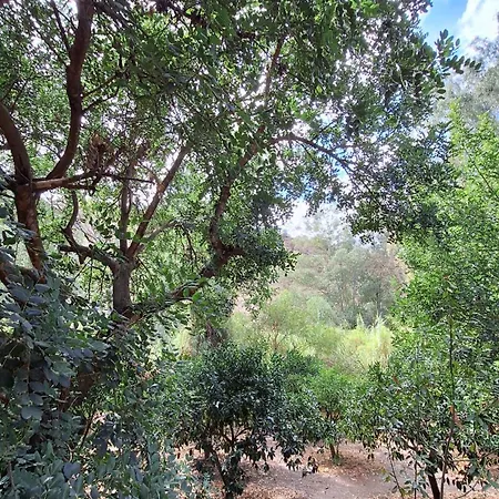 Holiday home El Agua Da Vida