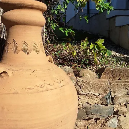 El Agua Da Vida