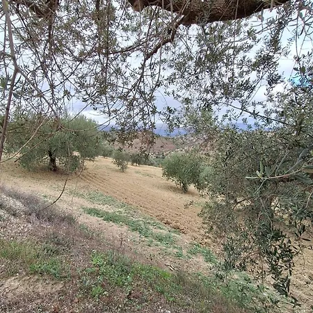 El Agua Da Vida Holiday home Comares