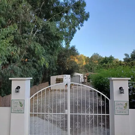 El Agua Da Vida